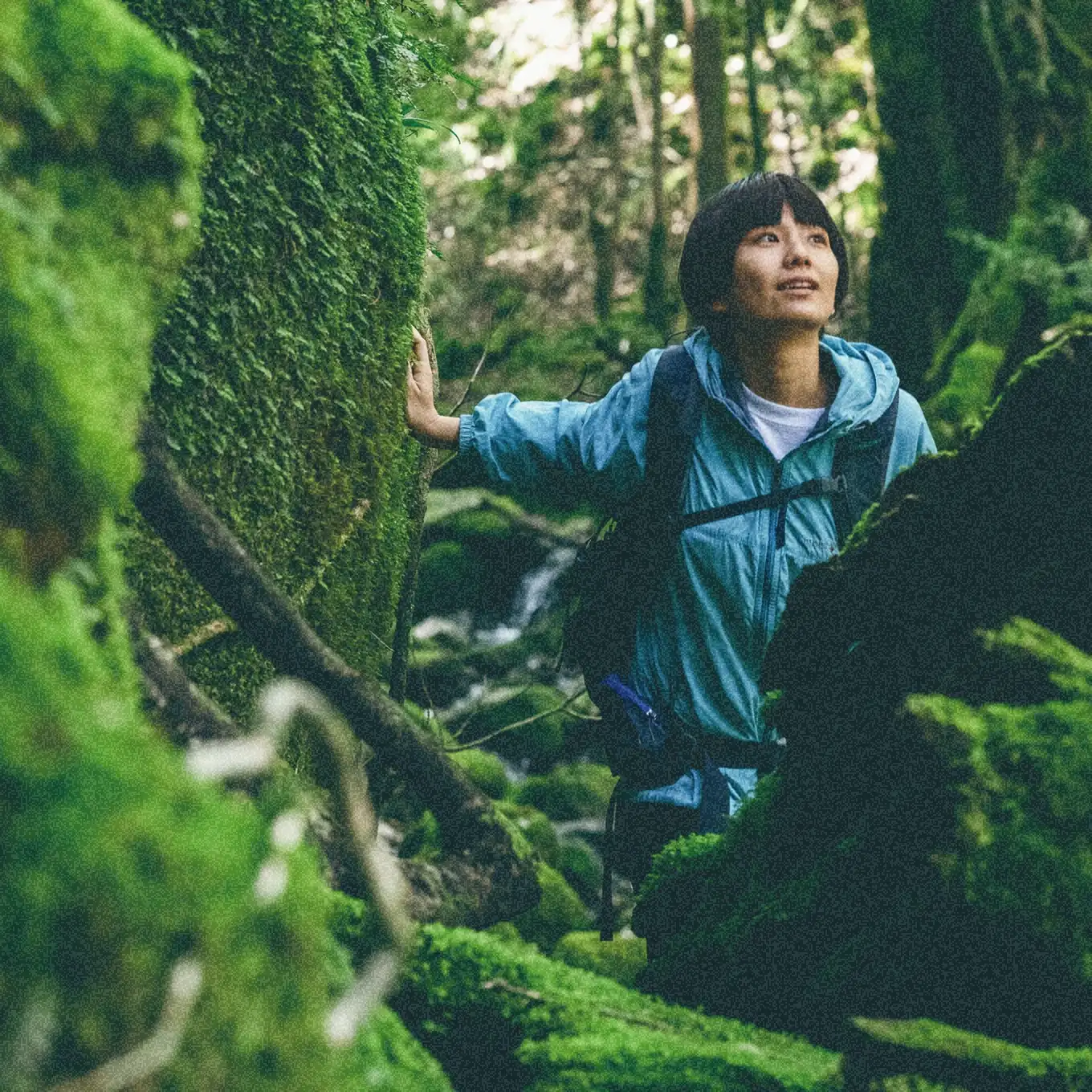 苔に囲まれた森を案内するローカルフレンド