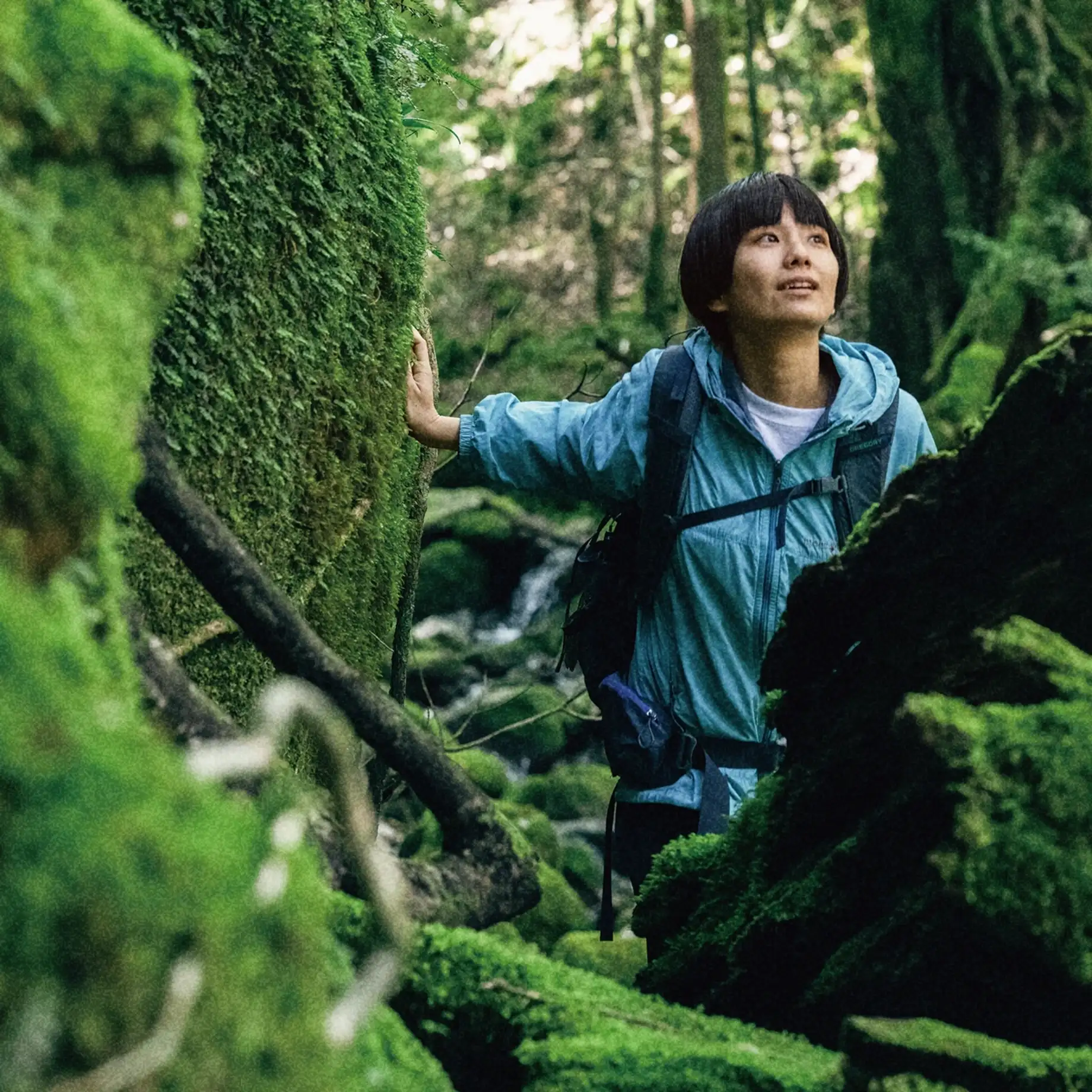 A local friend guides a walk through a mossy forest