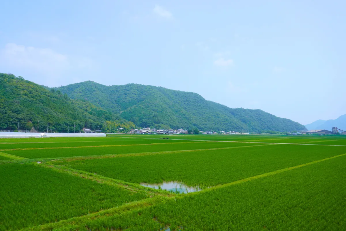 12 Iconic Japanese Countryside Landscapes! Introducing Breathtaking Scenery Spots to Be Proud Of Worldwide!