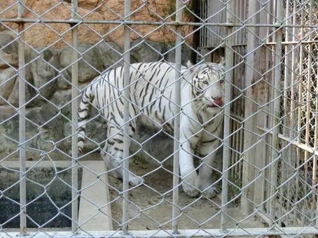 東武動物公園
