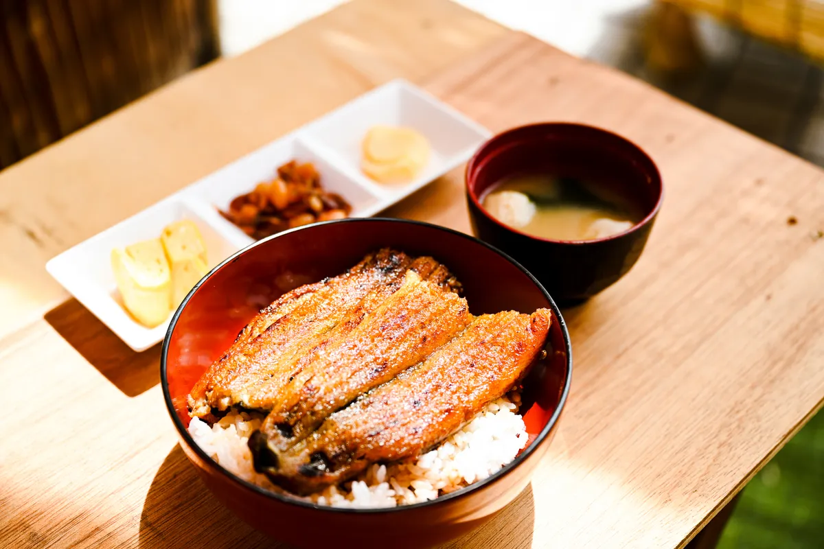 [Gourmet Experience Report] Recommended for sightseeing in Kansai! I caught and grilled my own eel and ate it as unaju.