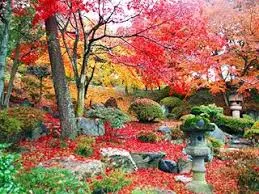 徳明園