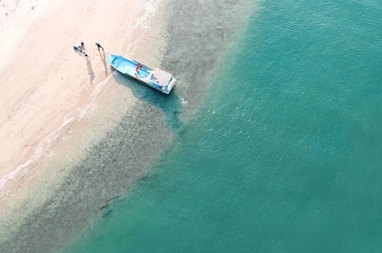Must-See for Survival Beginners! 5 Things to Bring to a Deserted Island