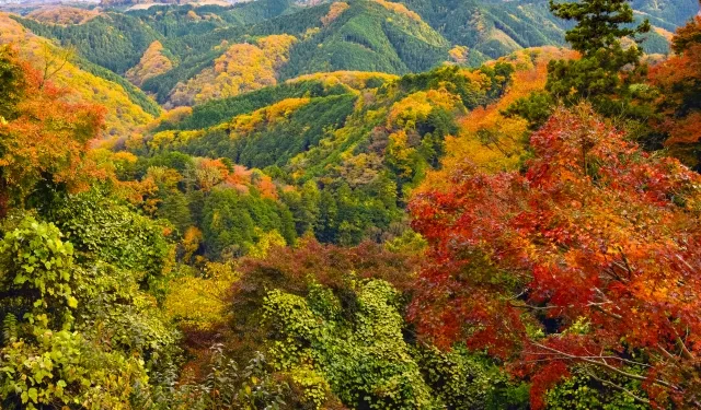 高尾山