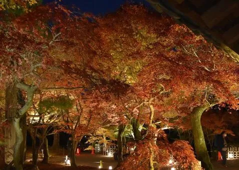 東福寺