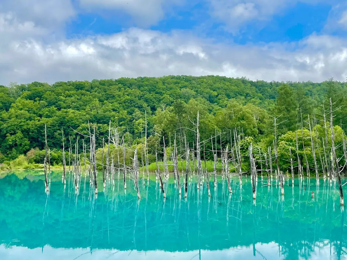 Must-See for Beginners: 10 Recommended Travel Destinations for Solo Female Travelers!