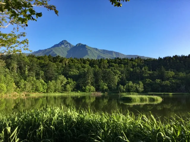 利尻島