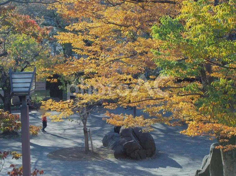 飛鳥山公園