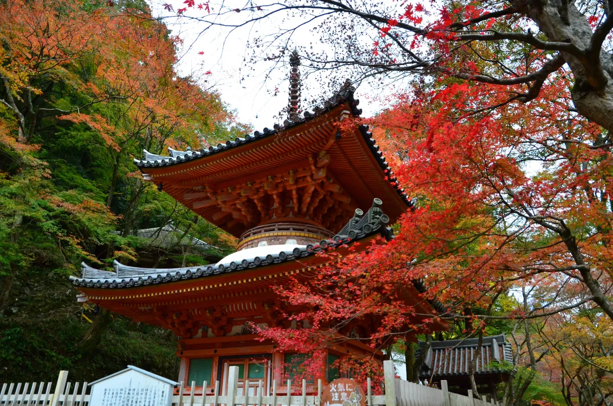 牛滝山