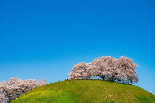 ささたま古墳公園