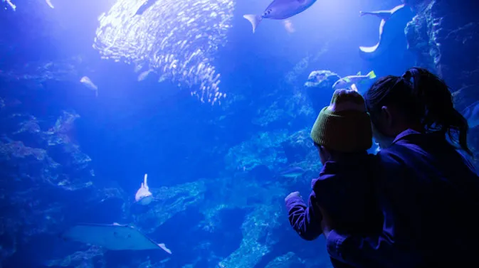 京都水族館