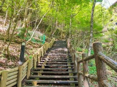 東京都檜原都民の森
