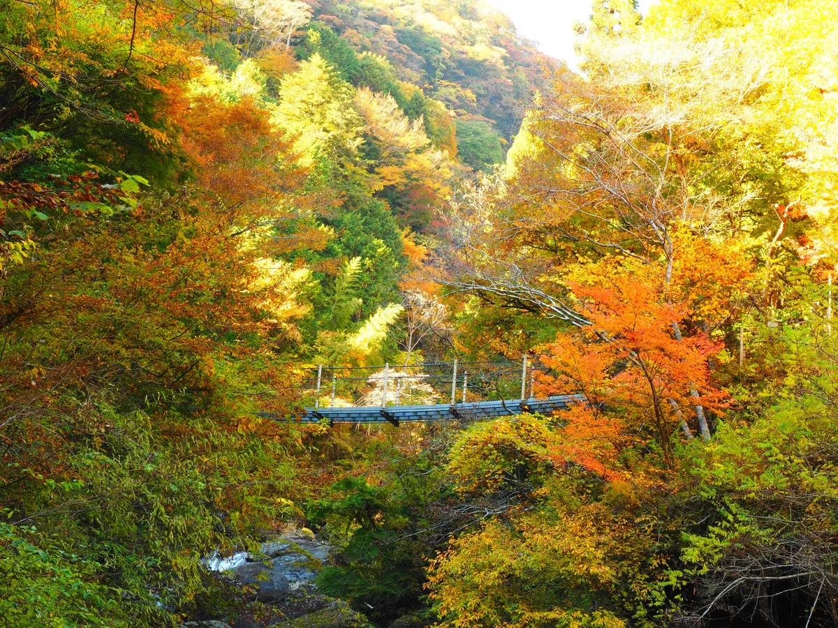 大柳川渓谷