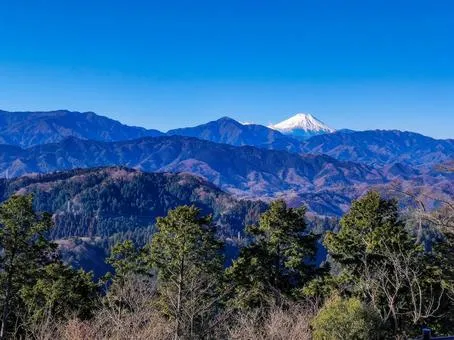 高野山