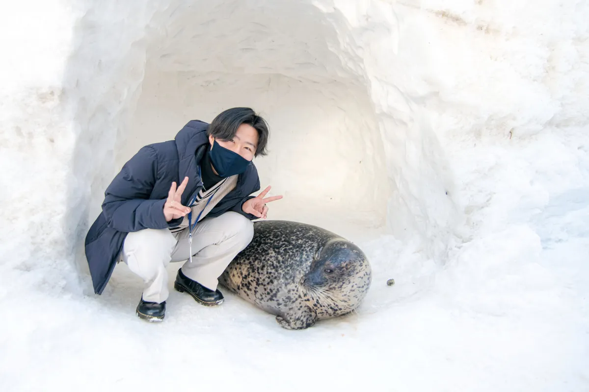 sapporo kikaku 6