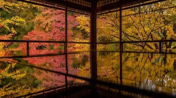 瑠璃光院
