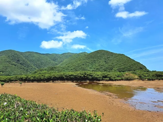奄美大島