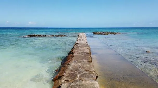 徳之島