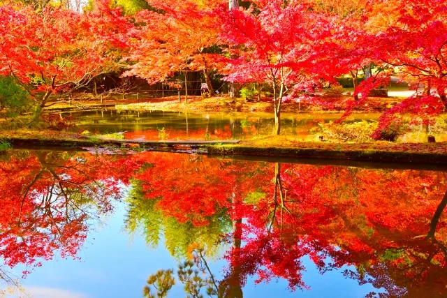 曽木公園