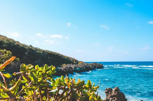 okinawa workcation7
