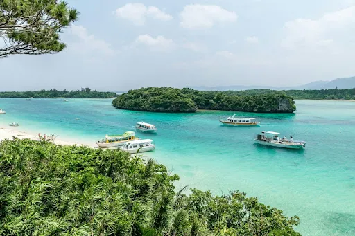[Okinawa] 5 Workation Hotels for Long Stays!