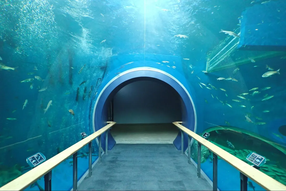[2025 Latest] Recommended Rainy Day Outings in Kansai! 22 Hidden Gems & Date Spots for Adults and Children, Perfect Even in the Rain! Also Featuring Places to Enjoy Without Crowds!