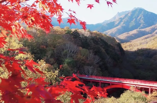 八ヶ岳高原ライン