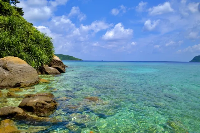 西表島
