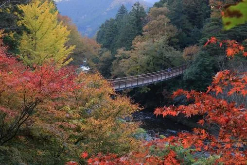 秋川渓谷