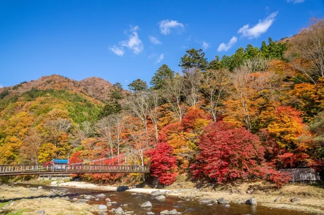 紅のつり橋
