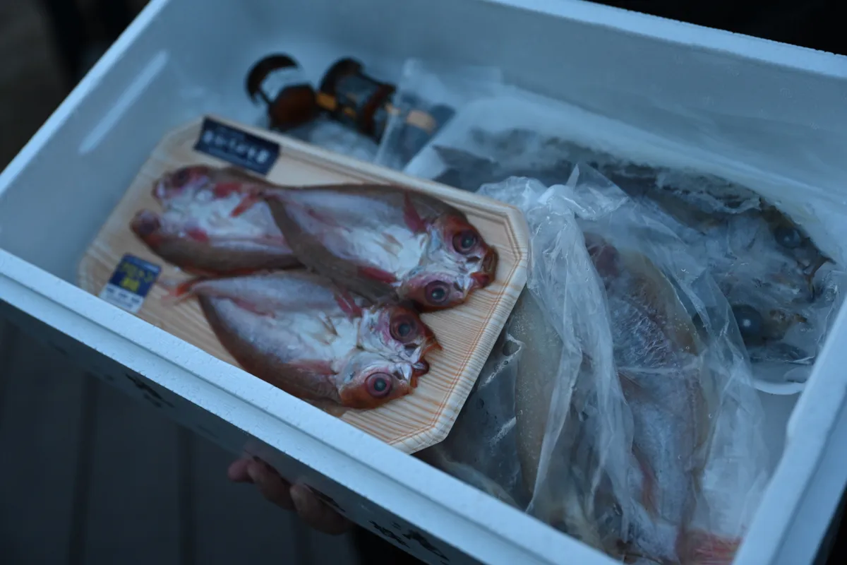 魚