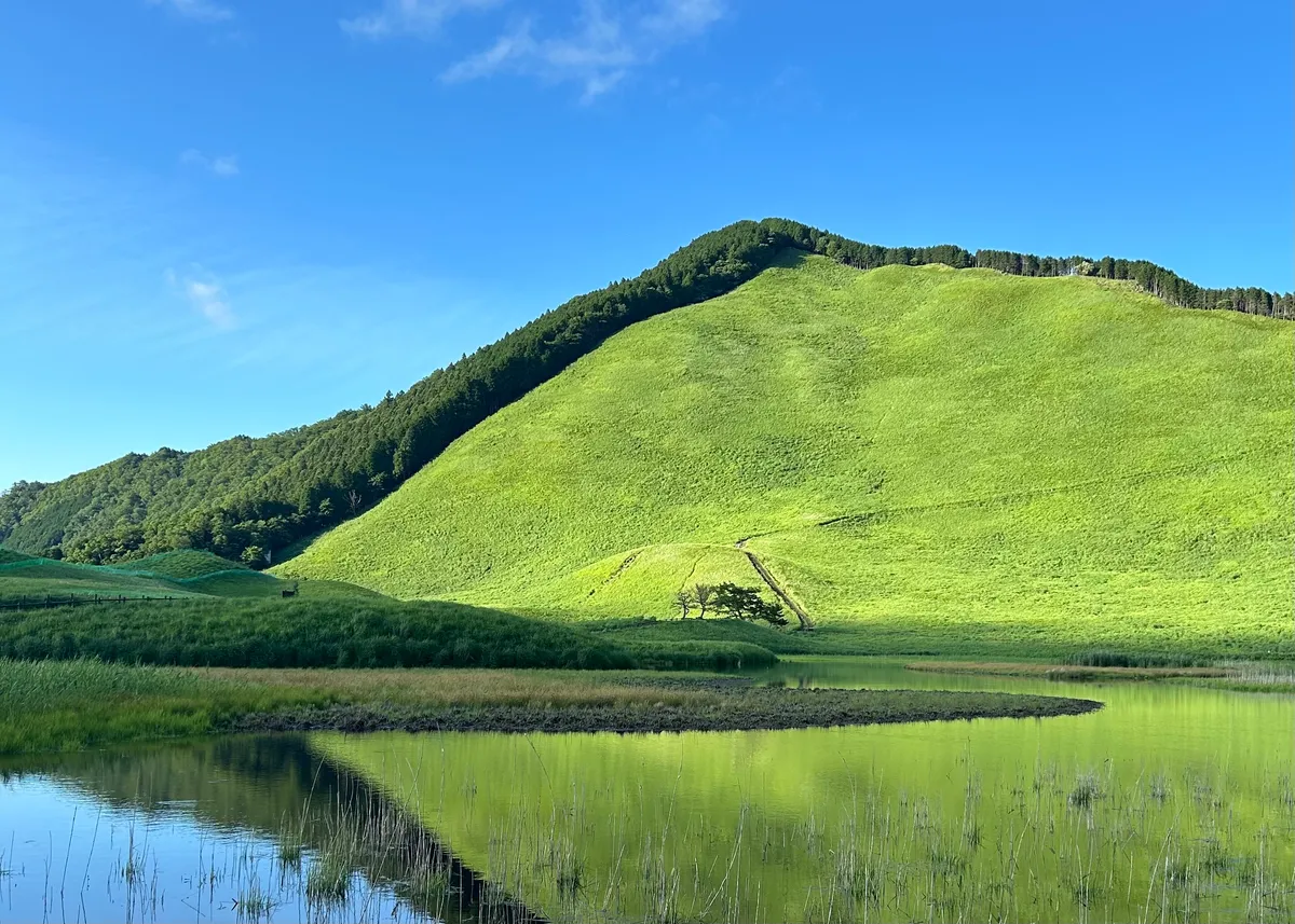 [2025 Kansai] Refresh Your Mind and Body on a Solo Trip! 16 Recommended Spots for a Day Trip, Mood Change, and Solo Relaxation