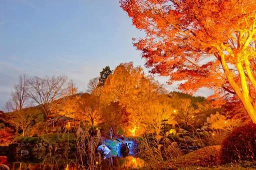 桜山公園