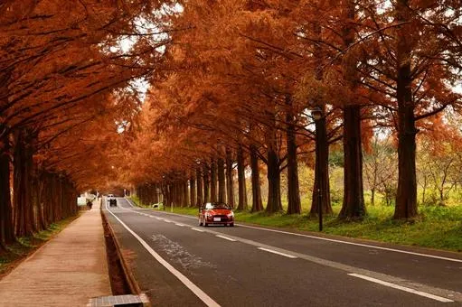 【2025年最新】関西の紅葉の名所19選!見頃・おすすめの穴場までご紹介!デートにもおすすめ!