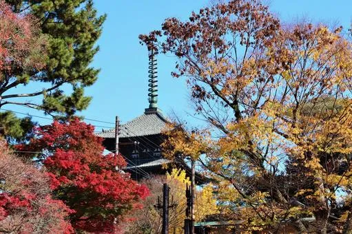 興国寺