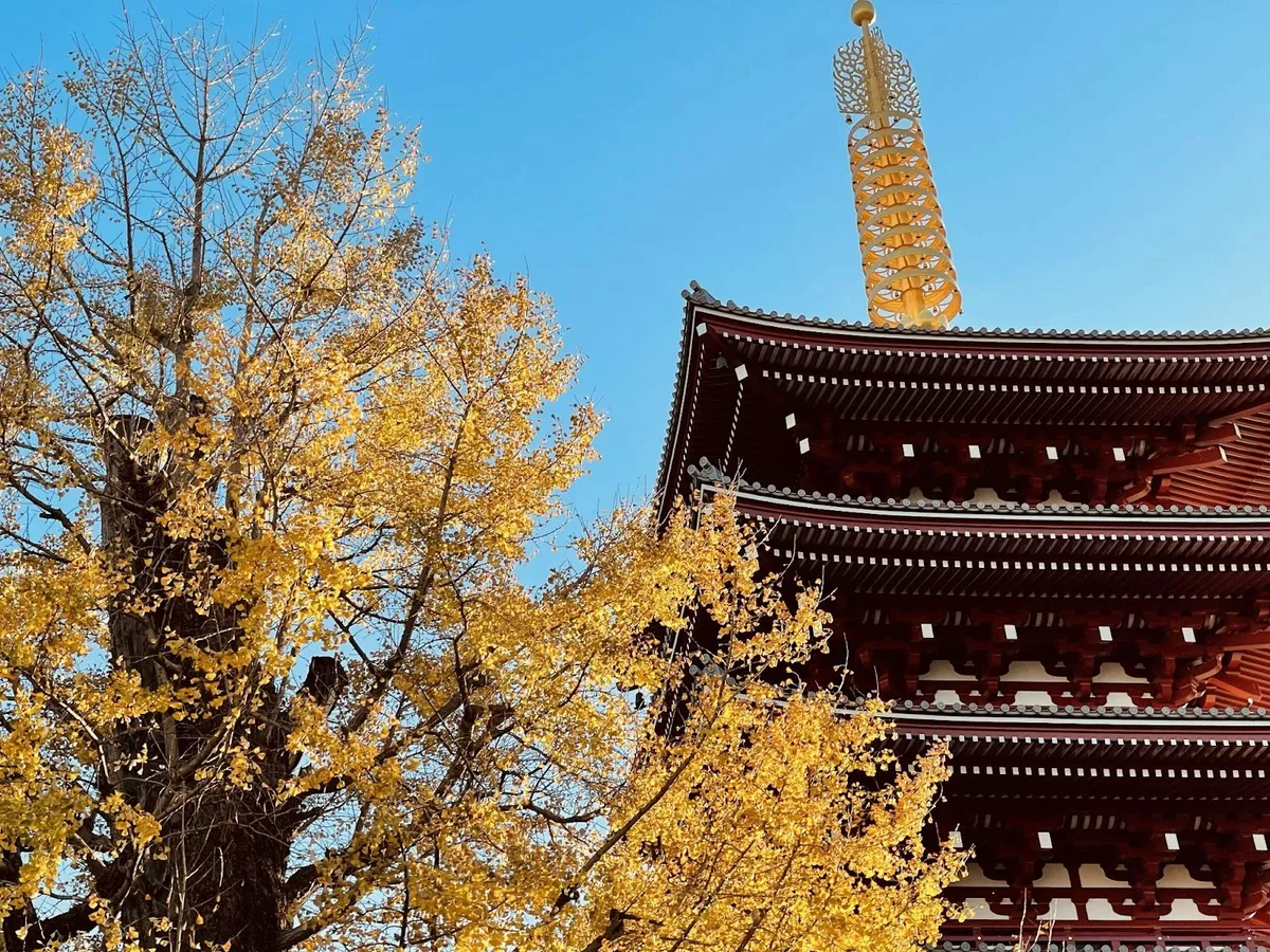 Refresh yourself with a solo trip this autumn! Recommended domestic travel spots