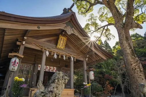 宝満宮竈門神社