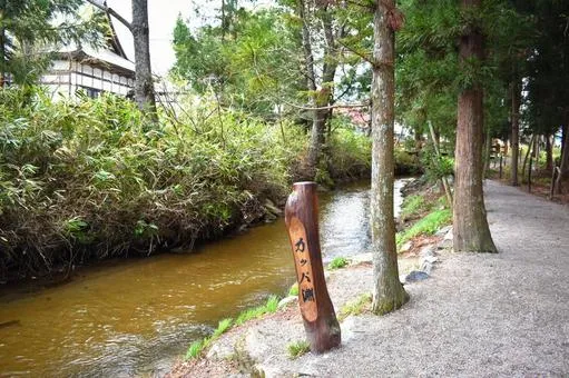 遠野