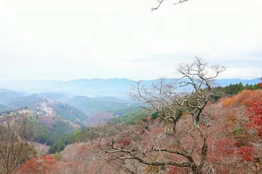 吉野公園