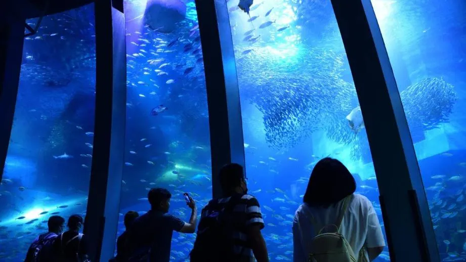 八景島シーパラダイス