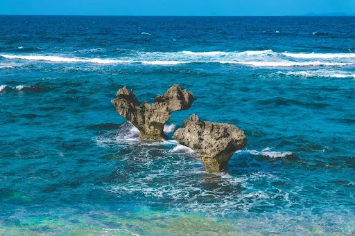 okinawa workcation8