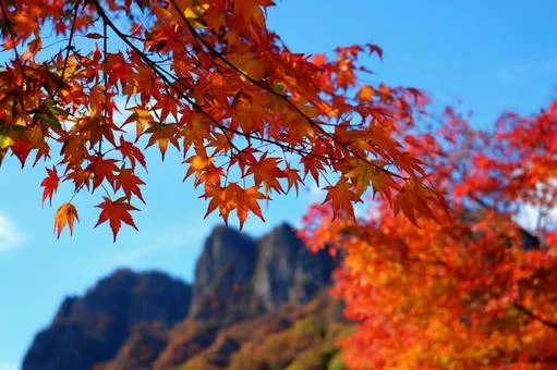 妙技山