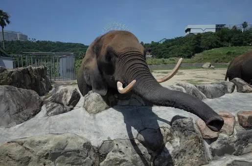 アドベンチャーワールド