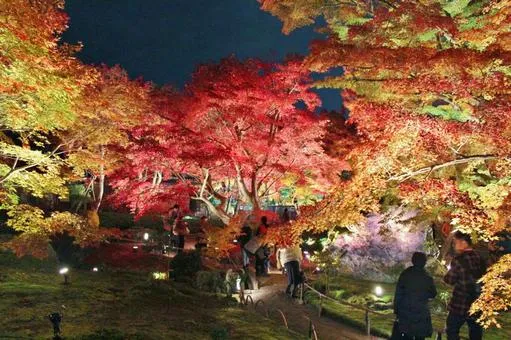 天龍寺