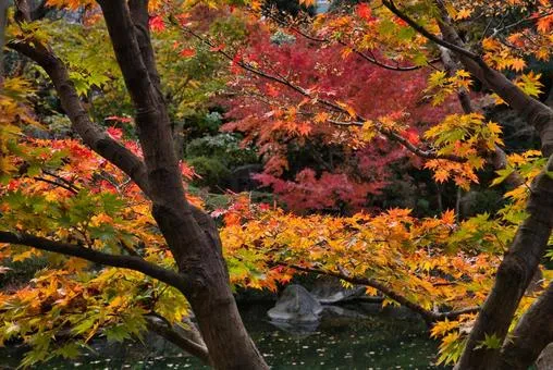 目白庭園