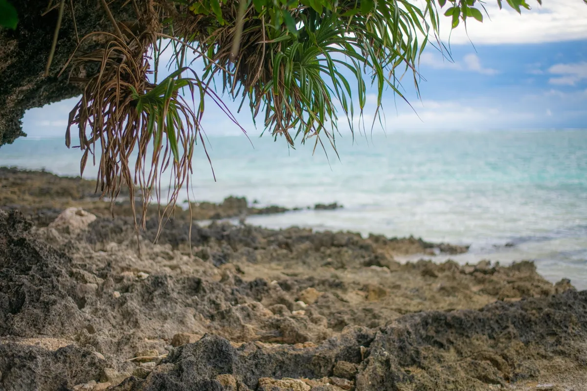 [Uninhabited Island] How much does an uninhabited island cost? The ultimate private camping experience on your own secret base!