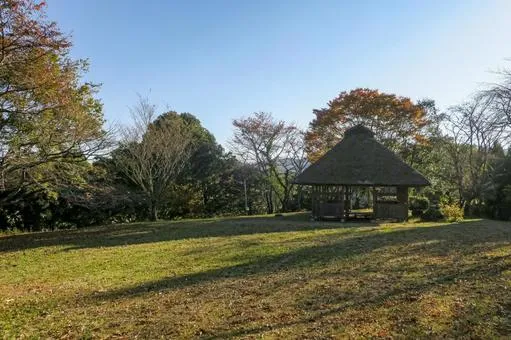 万葉公園