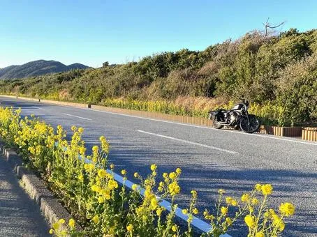 房総フラワーライン