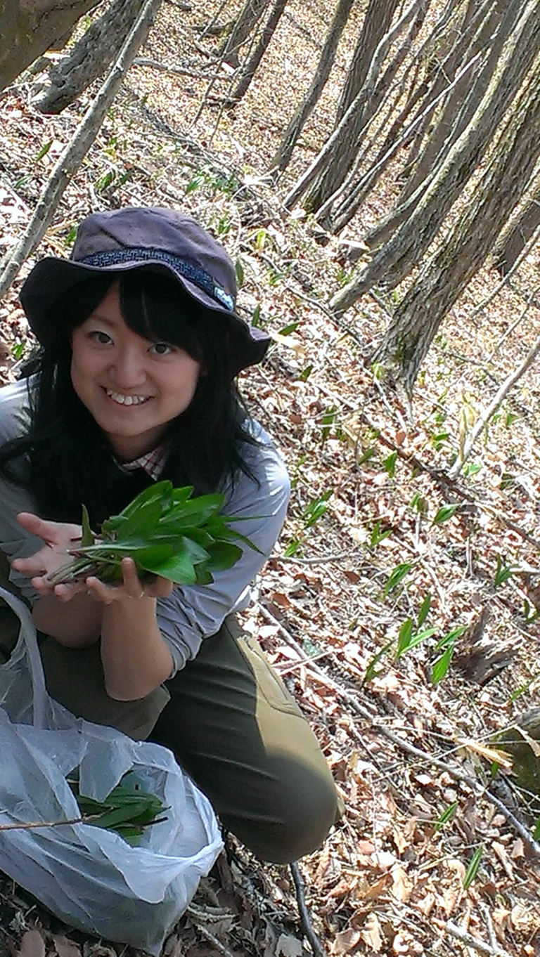 北海道 山菜 採り 場所
