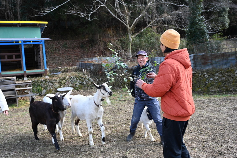 動物好き必見】個性派ヤギとふれあい体験🐐人懐っこさ120％！笑顔